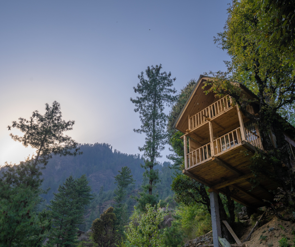 Best Treehouse In Jibhi Ecoplore