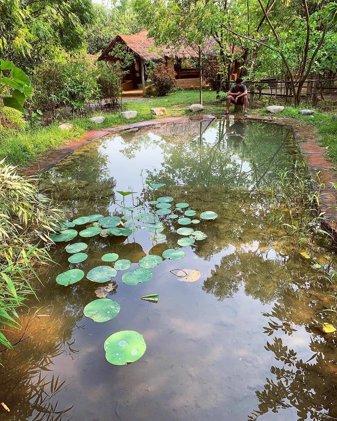 Jim Corbett Resort with Private Pools