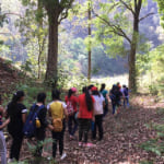 imGuided nature walks into the forest.jpgage