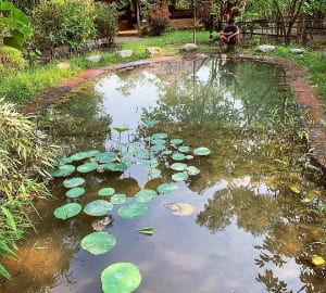 mud-house-in-jim-corbett