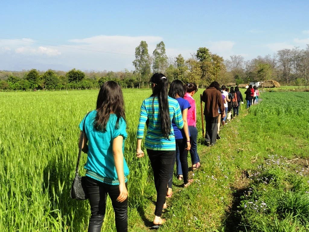 Wildlife tourism in Jim Corbett National Park