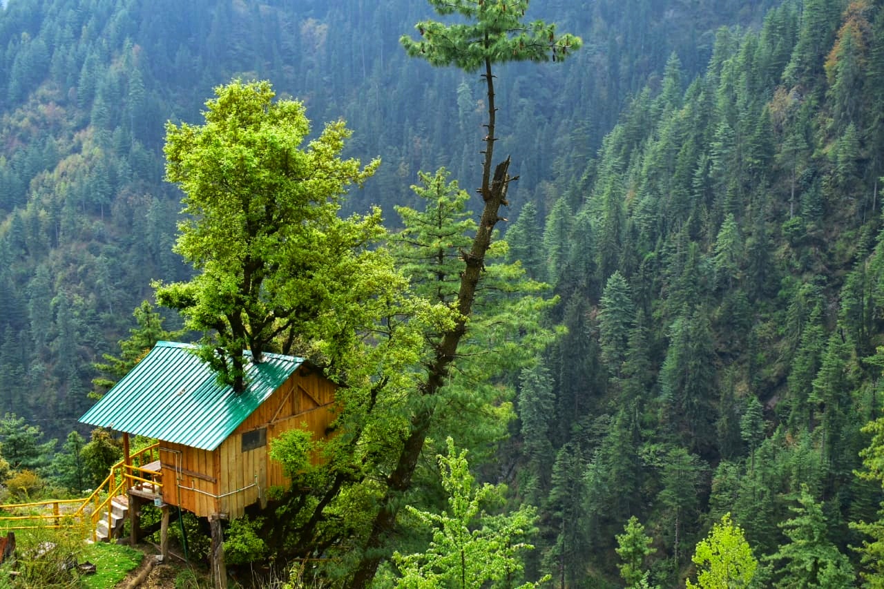 Best tree house to stay in Jibhi