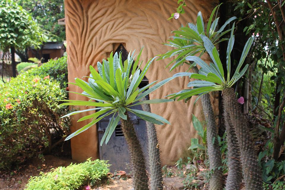 Rural Tourism in Santiniketan