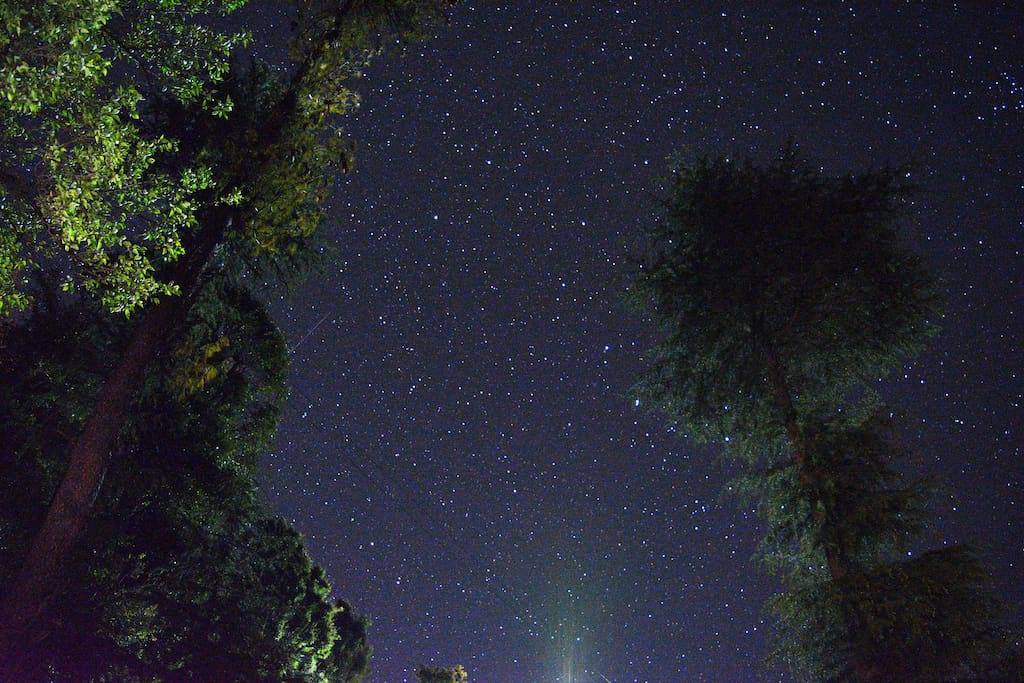 Tree house Jibhi Tandi