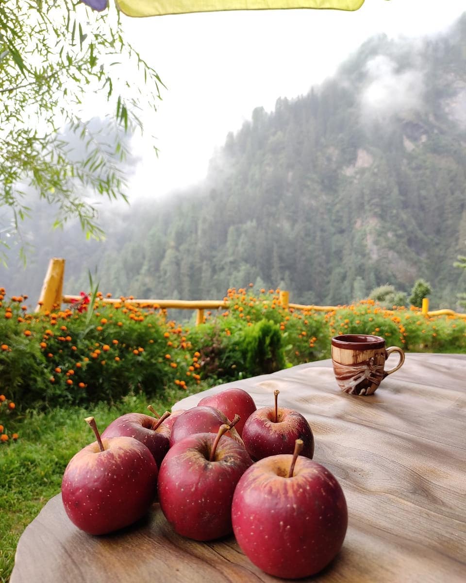 cafe in Jibhi