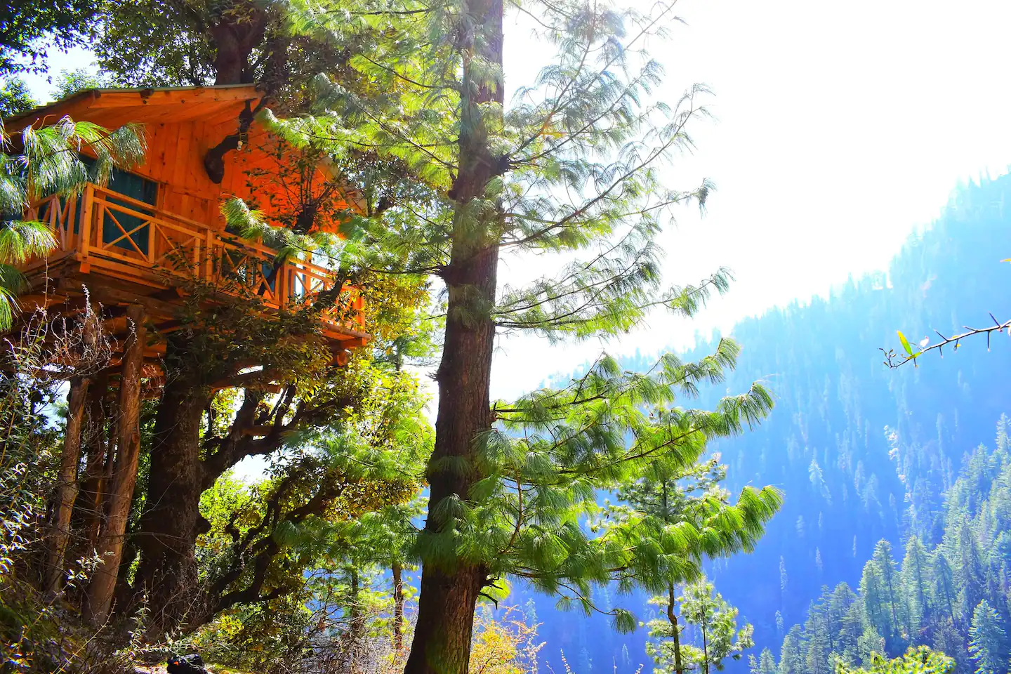 Homestays in Himachal