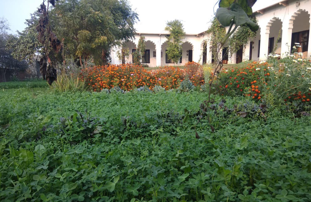 the-charm-of-the-farm-bharatpur