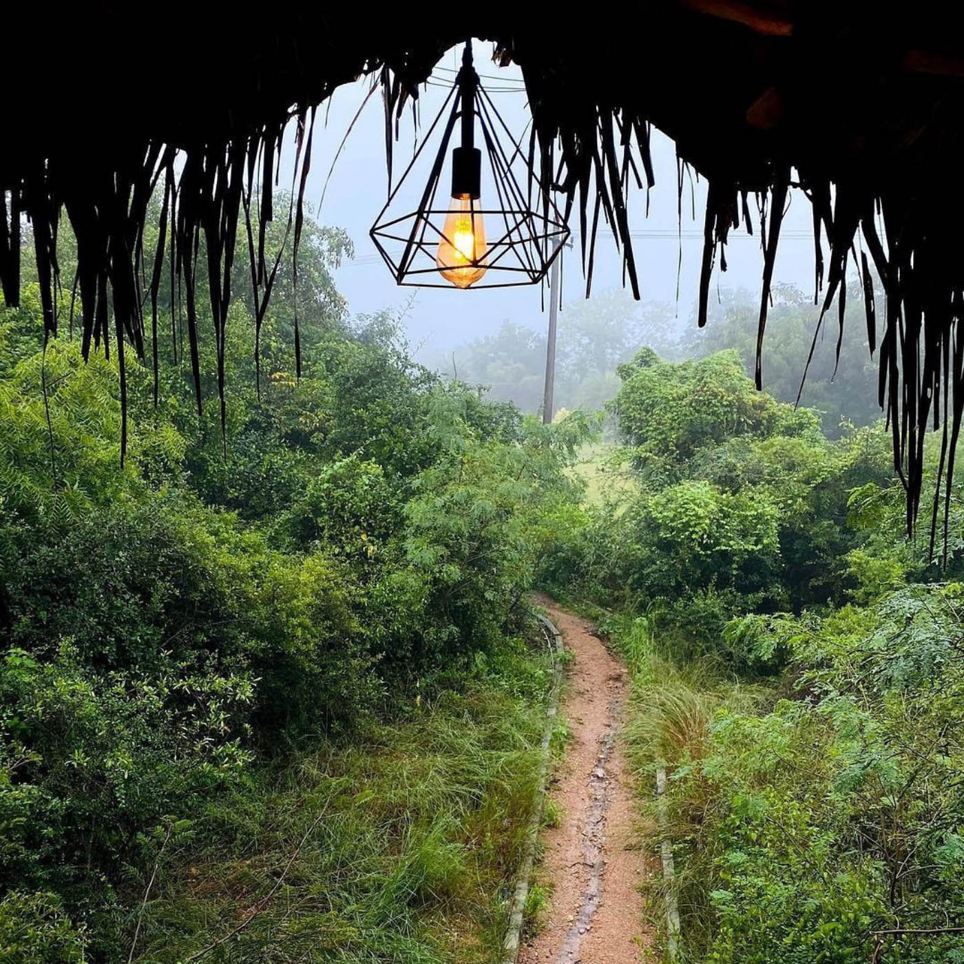 Hyderabad nature parks