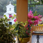 ecoplore-hotels