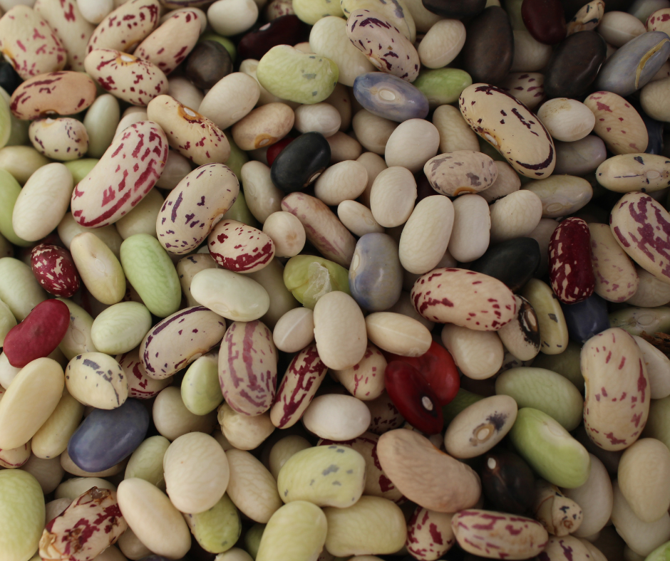 Rajma and chawal in himachal