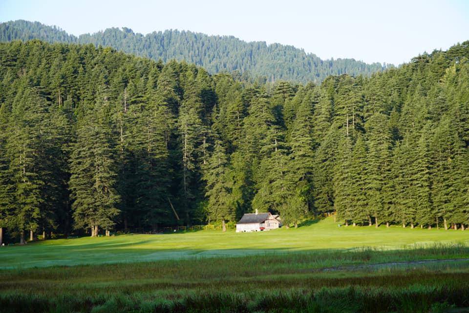 View from Khajjiar Homestay