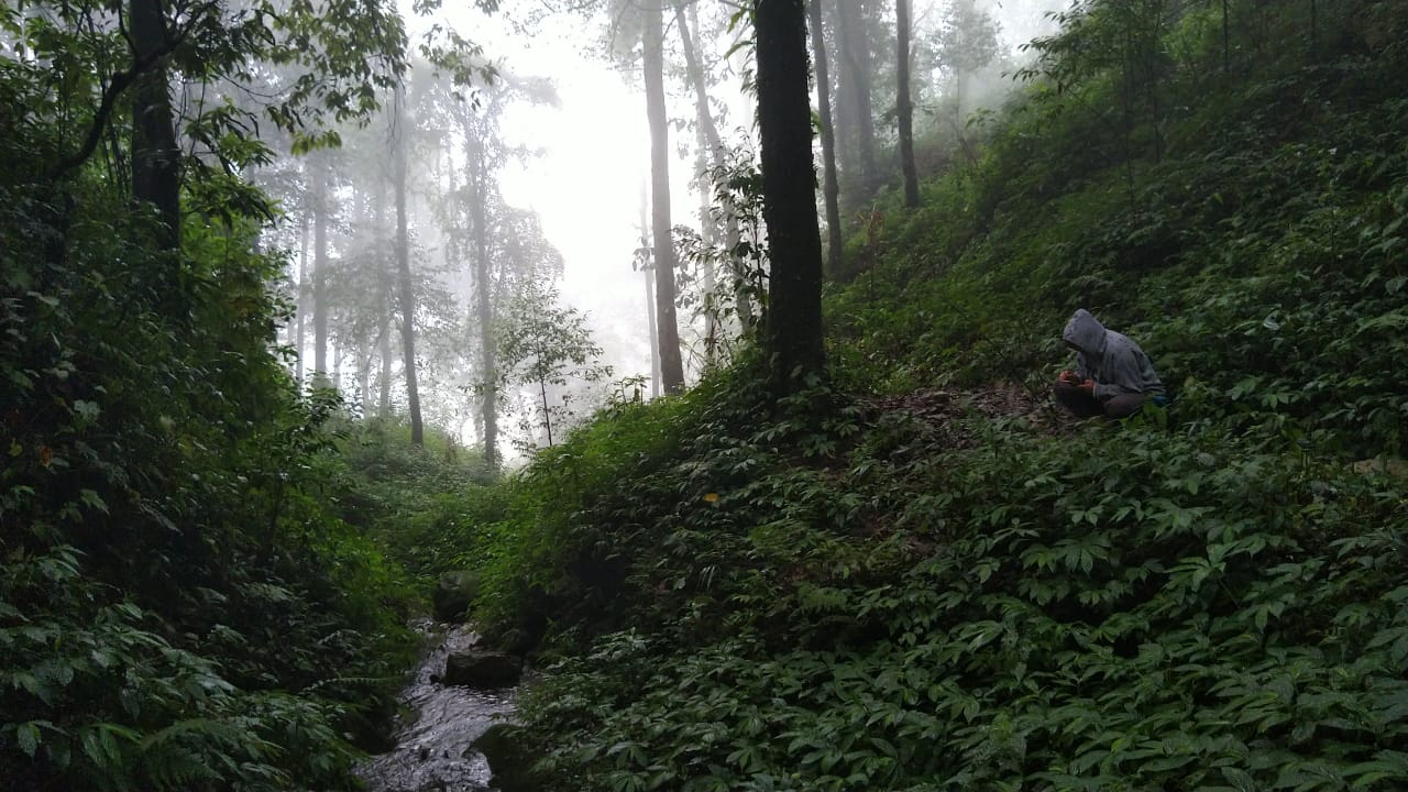 Wildlife in Darjeeling