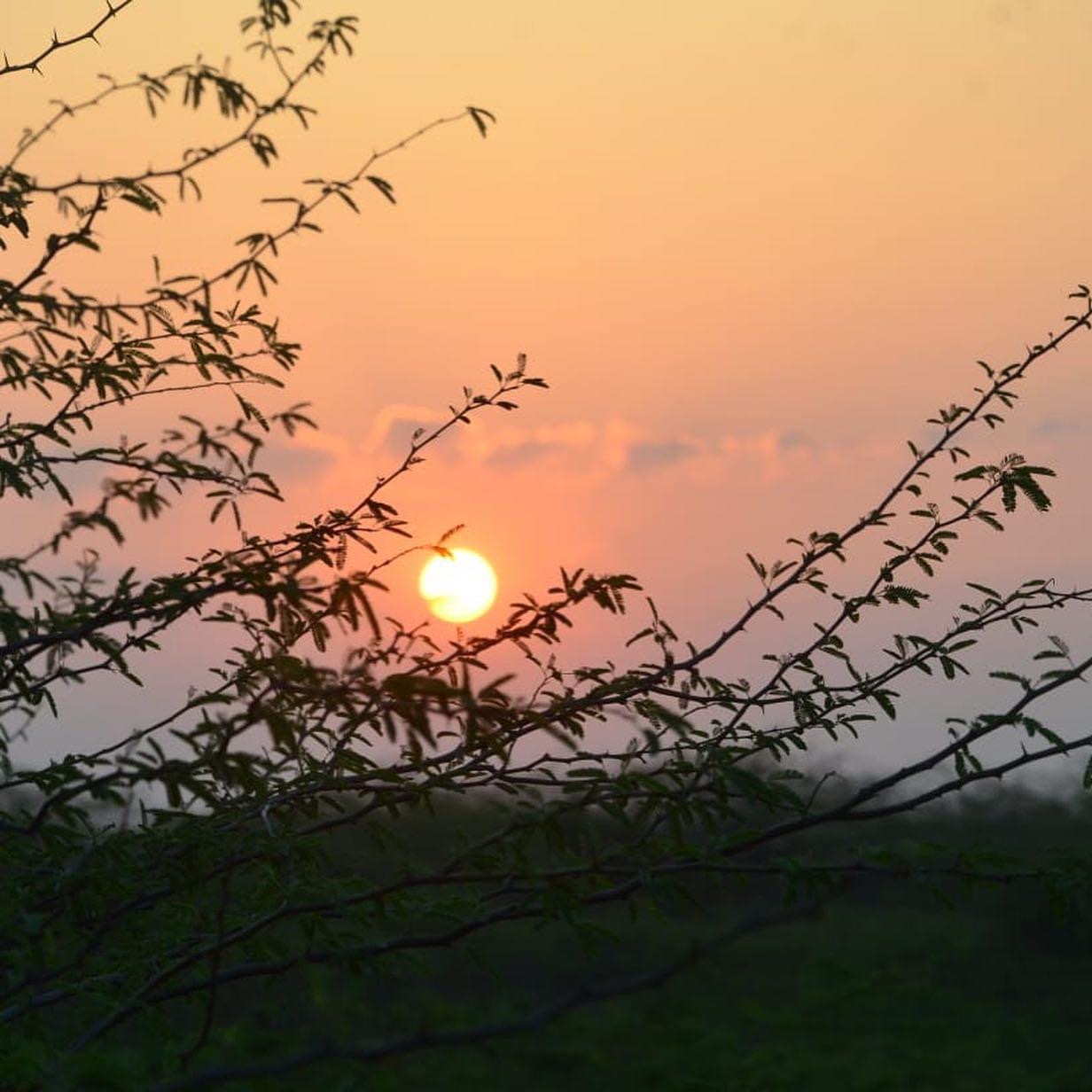 Farm in Gurgaon - ecoplore