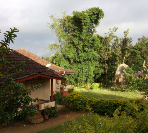 Nilgiri Farm